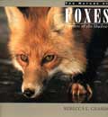 Foxes - Hunters of the Shadows
